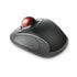 Kensington Wireless Orbit Trackball